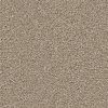 Cape Cod - Cashew - 530