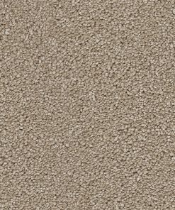 Cape Cod - Cashew - 530